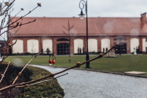 Topacz w deszczu [FOTOSPACER] - 2