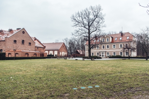 Topacz w deszczu [FOTOSPACER] - 3