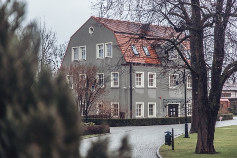 Topacz w deszczu [FOTOSPACER] - 4