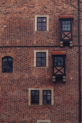 Topacz w deszczu [FOTOSPACER] - 5