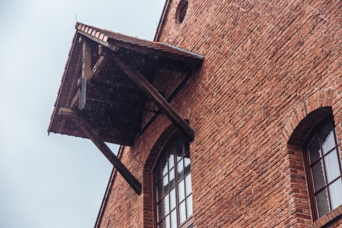 Topacz w deszczu [FOTOSPACER] - 8