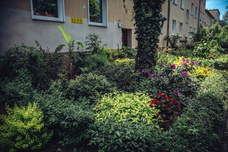 Wrocławianie zapłacą więcej za dzierżawę gruntów pod drobne uprawy i przydomową zieleń - fot. Patrycja Dzwonkowska