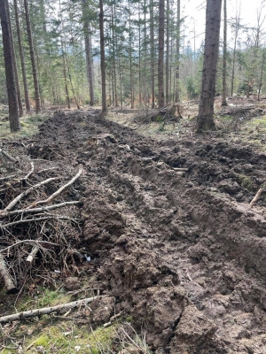 Jelenia Góra: Single tracki zrujnowane przez leśników w czasie wycinek - 4