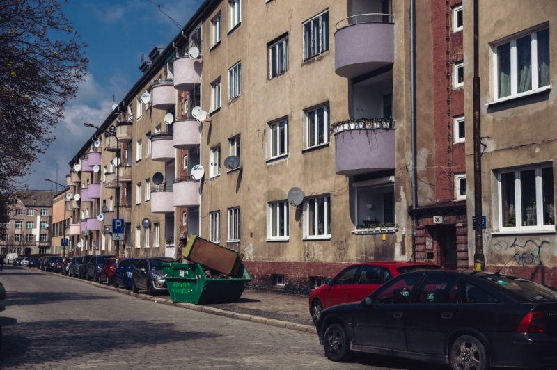 ZDJĘCIE DNIA Lila, fiołkowy czy wrzosowy? - fot. Patrycja Dzwonkowska