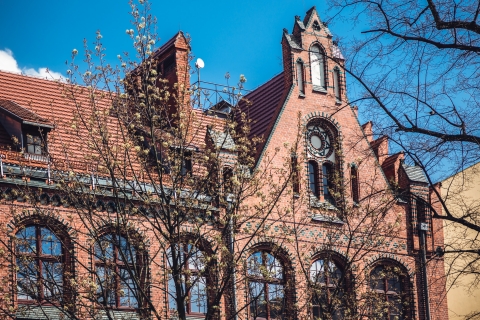 Edukacja przede wszystkim. Dawne Gimnazjum Fryderyka II [FOTOSPACER] - 15