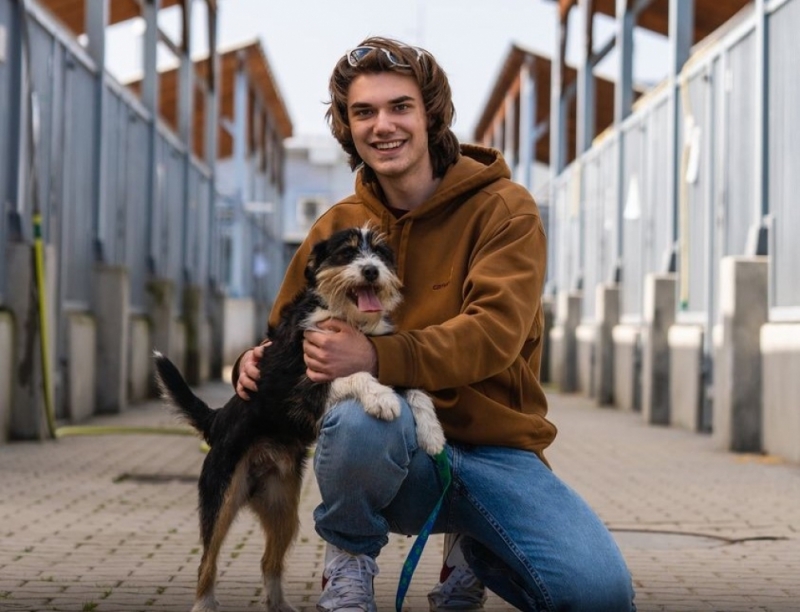 Wrocławscy licealiści stworzyli aplikację ułatwiającą adopcję psów  - fot. z aplikacji Befriend 