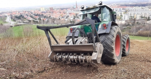 Trwają prace porządkowe na bielawskiej Górze Parkowej - 1