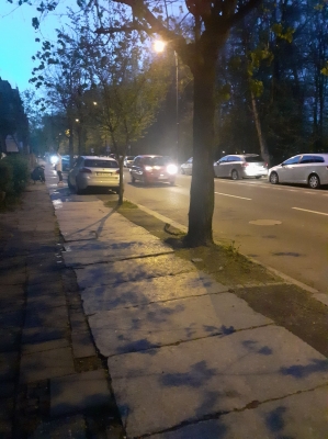 Pokazy fontann w Legnicy zmorą mieszkańców? [LIST OD SŁUCHACZKI] - 0