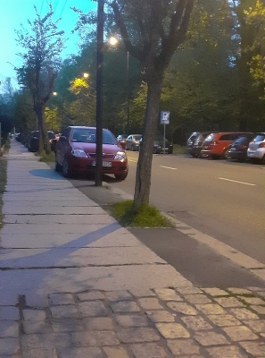 Pokazy fontann w Legnicy zmorą mieszkańców? [LIST OD SŁUCHACZKI] - 8
