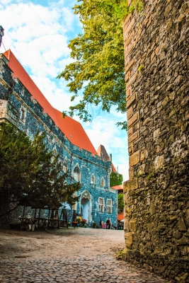 Reportaż: Usłysz Zamczysko - 8
