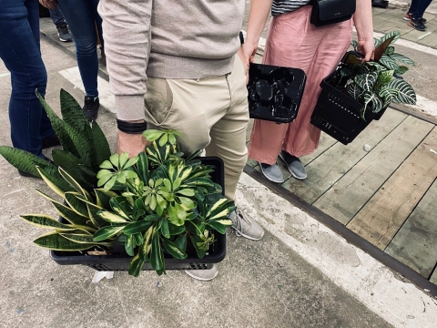 Tysiące odwiedzających na Festiwalu Roślin we Wrocławiu [ZDJĘCIA] - 6