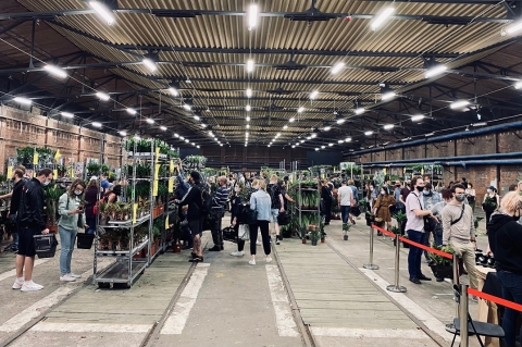 Tysiące odwiedzających na Festiwalu Roślin we Wrocławiu [ZDJĘCIA] - 0