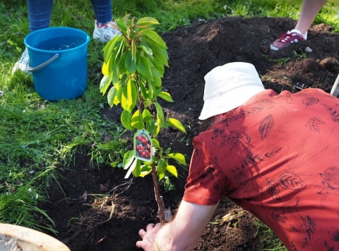Nie tylko nauka to dla nich pestka. W ogrodnictwie też sobie radzą  - 2