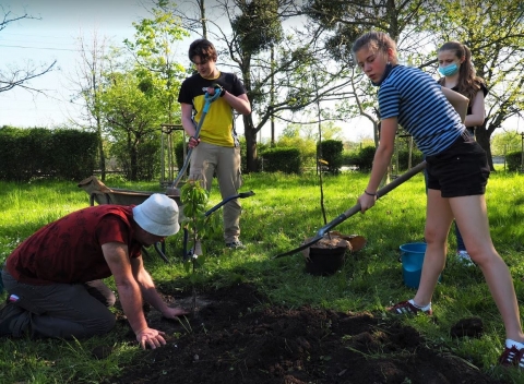 Nie tylko nauka to dla nich pestka. W ogrodnictwie też sobie radzą  - 3