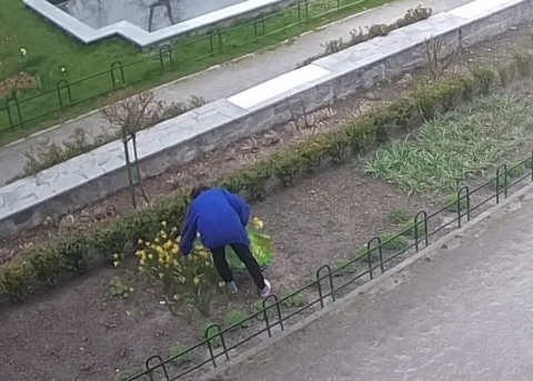 Świdnica: Gdy patrzy tylko monitoring kopią po samochodach, kradną kwiaty, a nawet... - 1