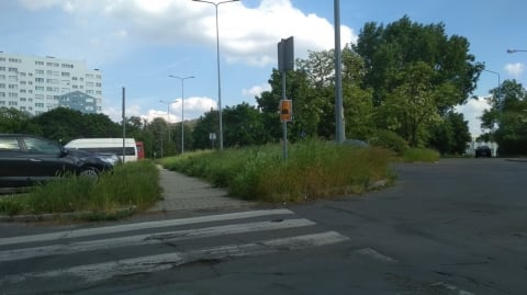 Koniec "legnickiej dżungli"? Ruszyła wycinka przy skrzyżowaniach - 0