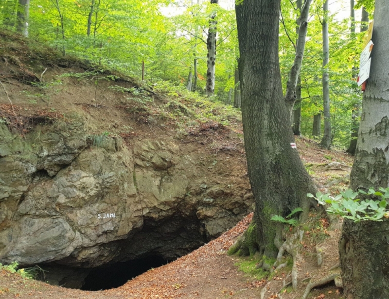 Tajemnice dawnych, pieszyckich szybów kopalnianych do odkrycia - foto: Smocza Jama UMiG Pieszyce