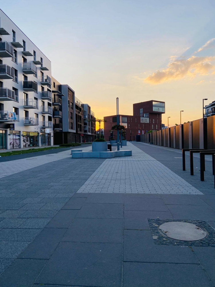 Betonowy Rynek w Siechnicach zrobi się zielony? - fot. Martyna Czerwińska