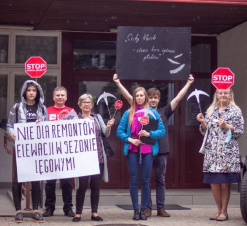 Protestują przeciwko remontom w miejscach lęgowych ptaków - fot. Viva Akcja dla Zwierząt