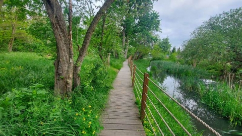 Wrocław: Swojczycki park Czarna Woda gotowy - 0
