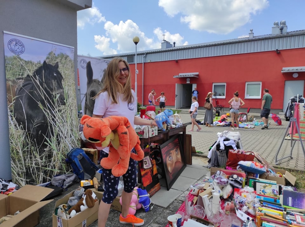 Schronisko dla uratowanych koni prowadzi zbiórkę - Fot. Beata Makowska