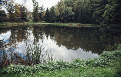 Przyrodnicy chcą zwiększyć liczbę obszarów chronionych we Wrocławiu