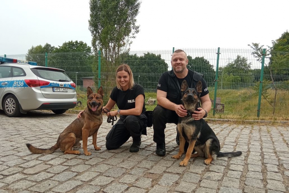 Emerytura dla zwierząt służbowych coraz bliżej - fot. Beata Makowska