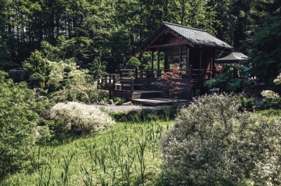Zjawiskowy Ogród Japoński ukryty w Karkonoszach [FOTOSPACER]