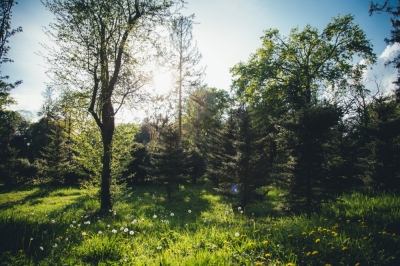 IMGW: od wtorku do piątku nad Polską upalne powietrze; najgoręcej w czwartek