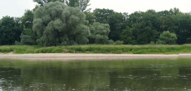 Możliwe wezbranie z przekroczeniem stanów ostrzegawczych na Baryczy - fot. Wikipedia/Marek Argent