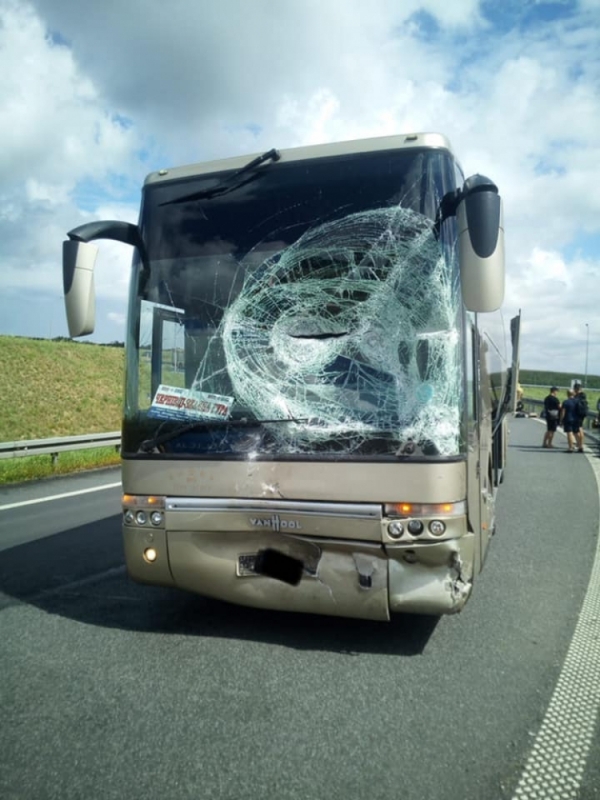 Groźny wypadek w Szymanowicach. Autobus zderzył się z osobówką [ZDJĘCIA] - fot. Komenda Miejska Państwowej Straży Pożarnej w Legnicy