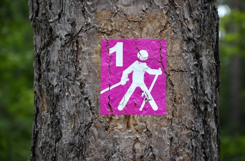 Z kijami po równy oddech. Powstał program nordic walking dla ozdrowieńców - zdjęcie ilustracyjne fot. pixababy