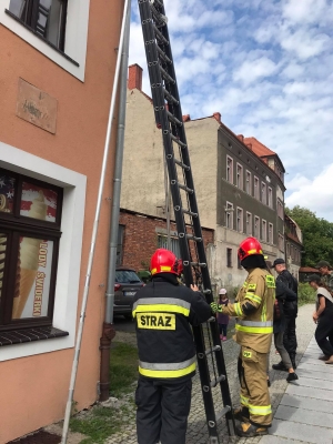 Studio lato w Görlitz/Zgorzelcu [ZOBACZ, POSŁUCHAJ] - 14
