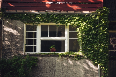 Ukryta i wyjątkowo malownicza ulica Noakowskiego [FOTOSPACER] - 13