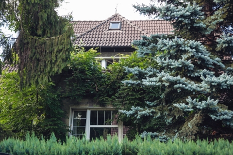 Ukryta i wyjątkowo malownicza ulica Noakowskiego [FOTOSPACER] - 14