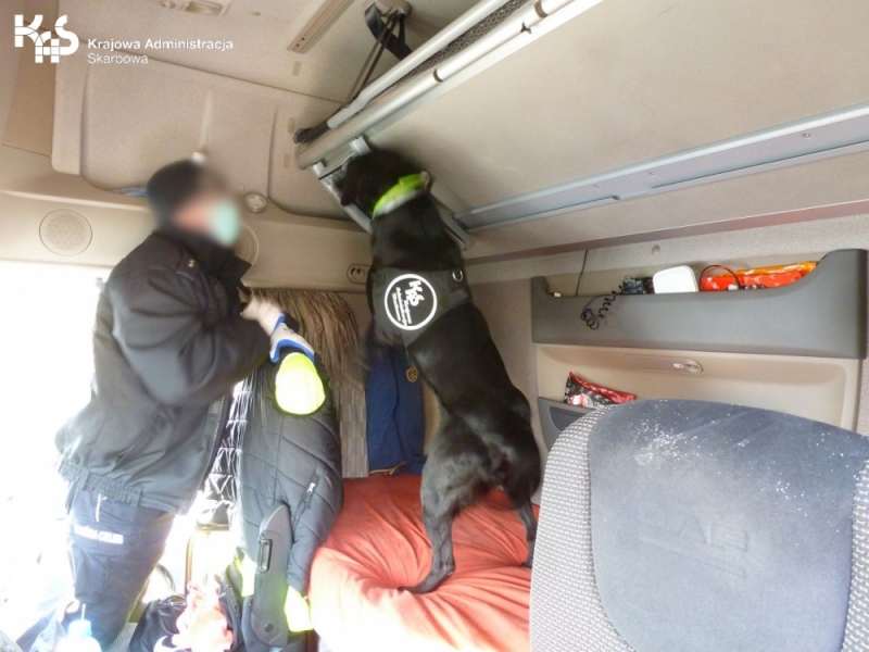 Labrador Carlos wykrył heroinę na przejściu granicznym w Słubicach - fot. KAS