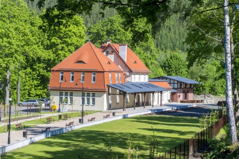 Studio lato dziś z Gór Izerskich [ZOBACZ, POSŁUCHAJ] - 10