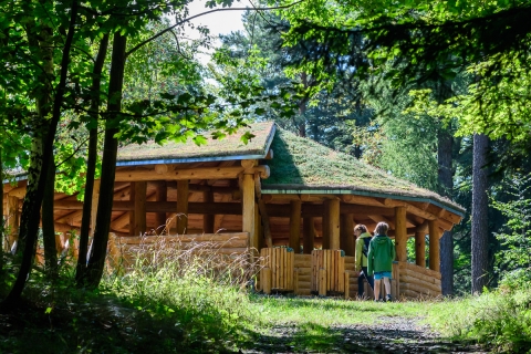 Studio lato dziś z Gór Izerskich [ZOBACZ, POSŁUCHAJ] - 0
