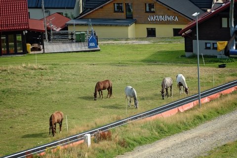 Ostre koło Radia Wrocław z zielenieckich single tracków  - 1