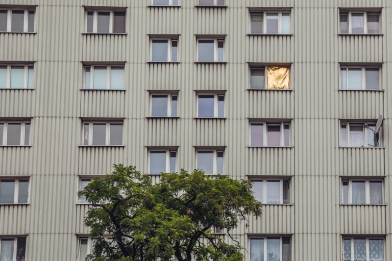ZDJĘCIE DNIA Dobrze, że za oknem na bogato - fot. Patrycja Dzwonkowska
