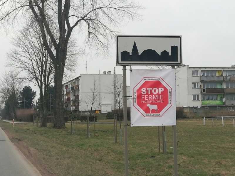 Władze Kątów Wrocławskich do końca roku podejmą decyzję w sprawie fermy krów - fot. archiwum Radio Wrocław