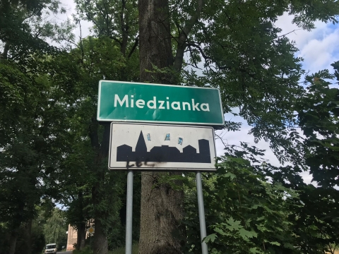 Studio Lato u podnóża Gór Ołowianych [POSŁUCHAJ] - 5