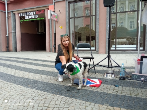 Wrocławska Ekostraż w niedzielę odwiedziła Rynek - 2