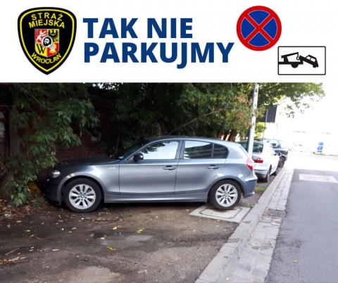 Zobacz, gdzie stają "mistrzowie parkowania". Chcieli zaoszczędzić, dostali mandaty [ZDJĘCIA] - 3