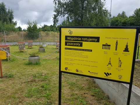 Na terenie Starej Kopalni w Wałbrzychu stanęła pasieka z recyklingu - 8