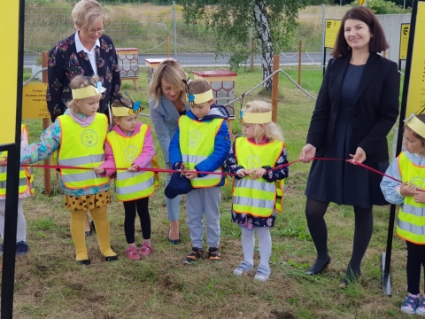 Na terenie Starej Kopalni w Wałbrzychu stanęła pasieka z recyklingu - 0