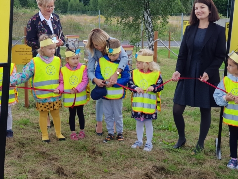 Na terenie Starej Kopalni w Wałbrzychu stanęła pasieka z recyklingu - 2