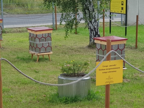Na terenie Starej Kopalni w Wałbrzychu stanęła pasieka z recyklingu - 3