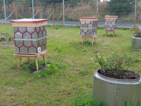 Na terenie Starej Kopalni w Wałbrzychu stanęła pasieka z recyklingu - 5