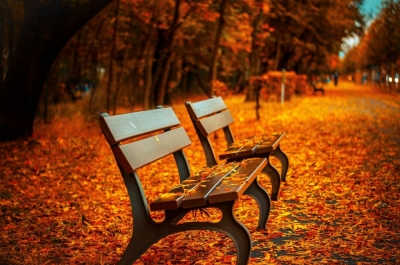Park Langiewicza jesienią wypięknieje